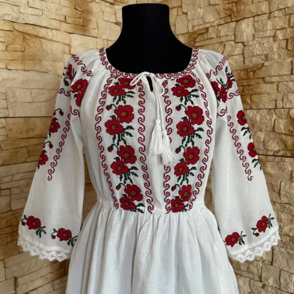 RT 117 ROCHIE BRODATA - imagine 2