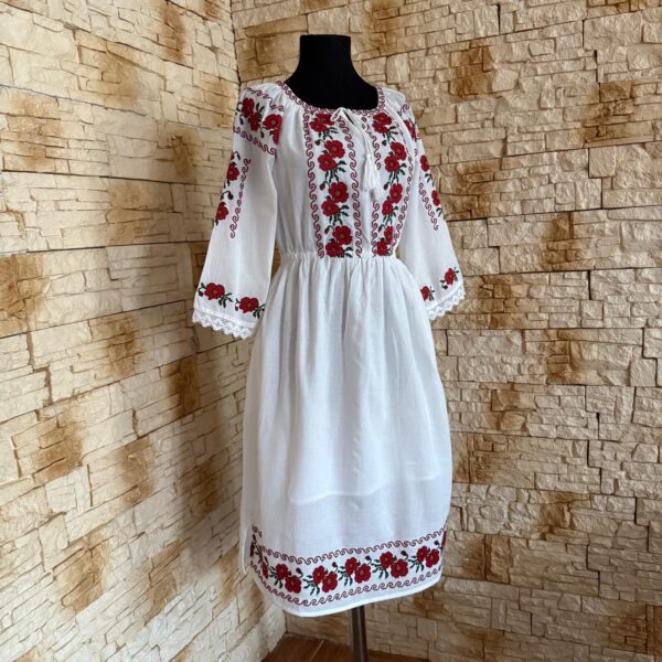 RT 117 ROCHIE BRODATA - imagine 3